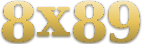 8x89 logo